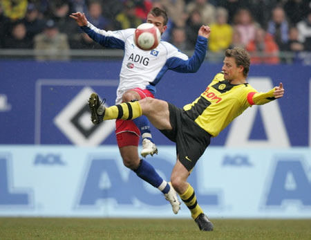 他们不单单 他们不单单